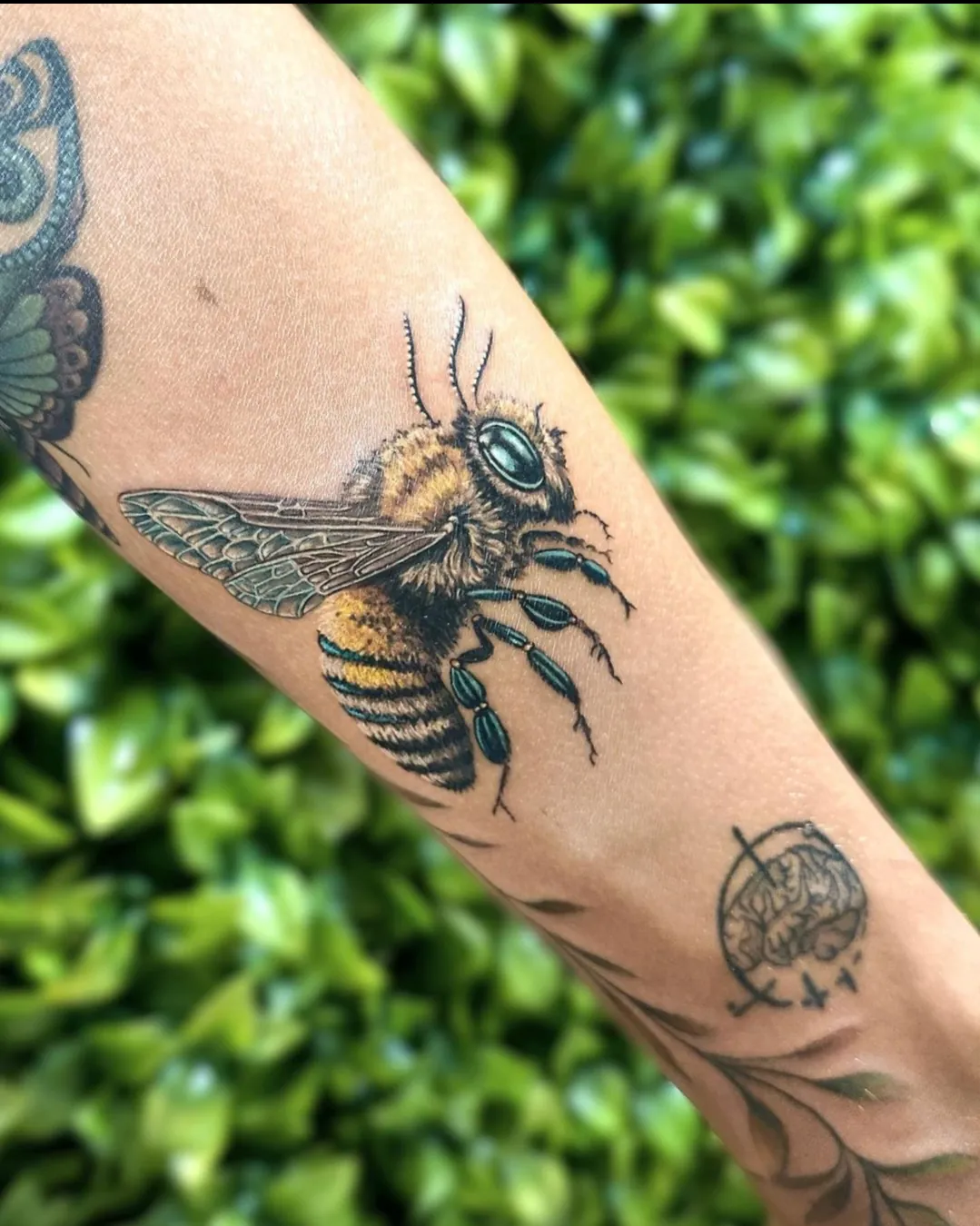 Tatuaj color realist pe antebraț cu o albină