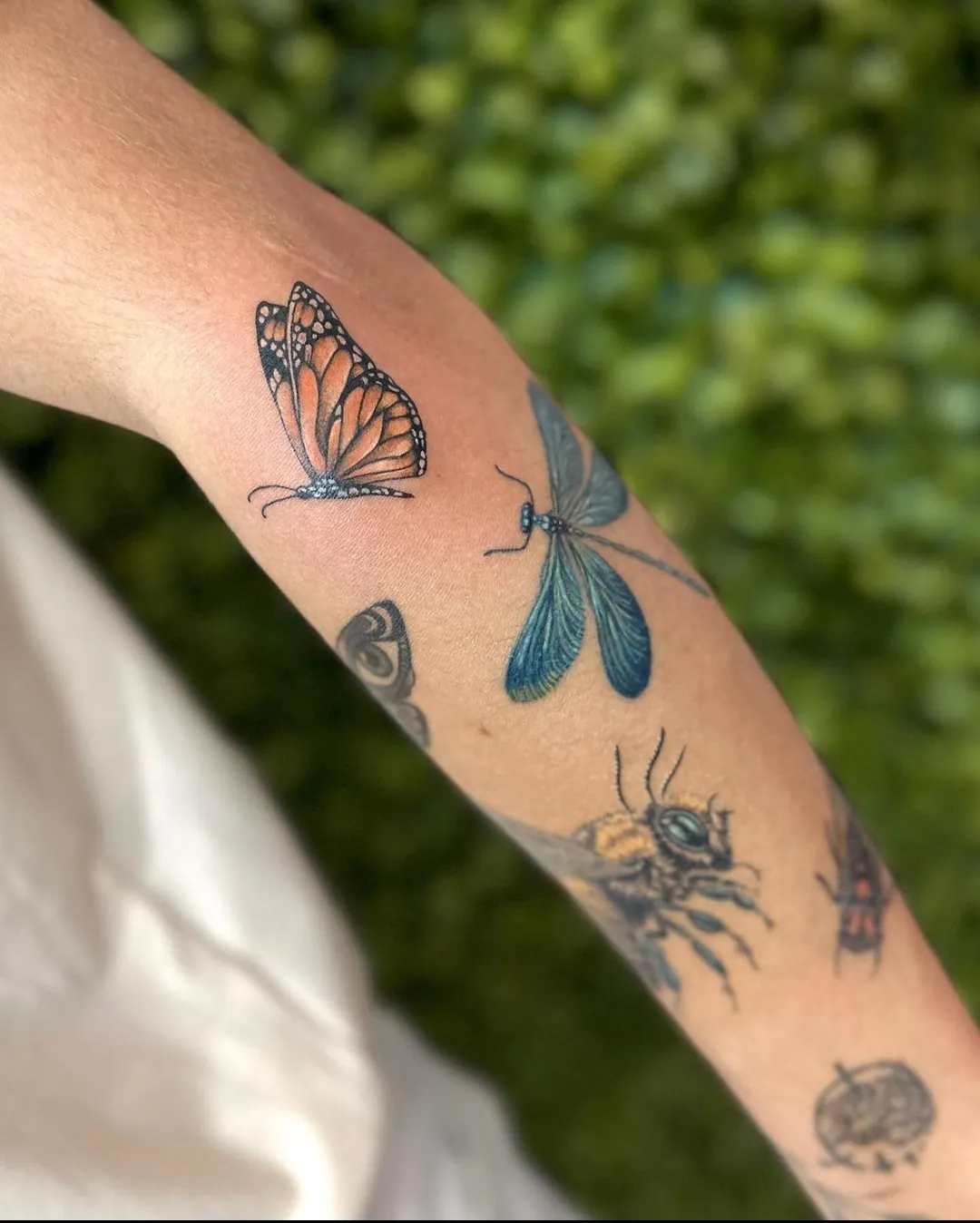 Tatuaj color pe antebraț cu insecte — fluture monarh, libelulă, albină și gândac