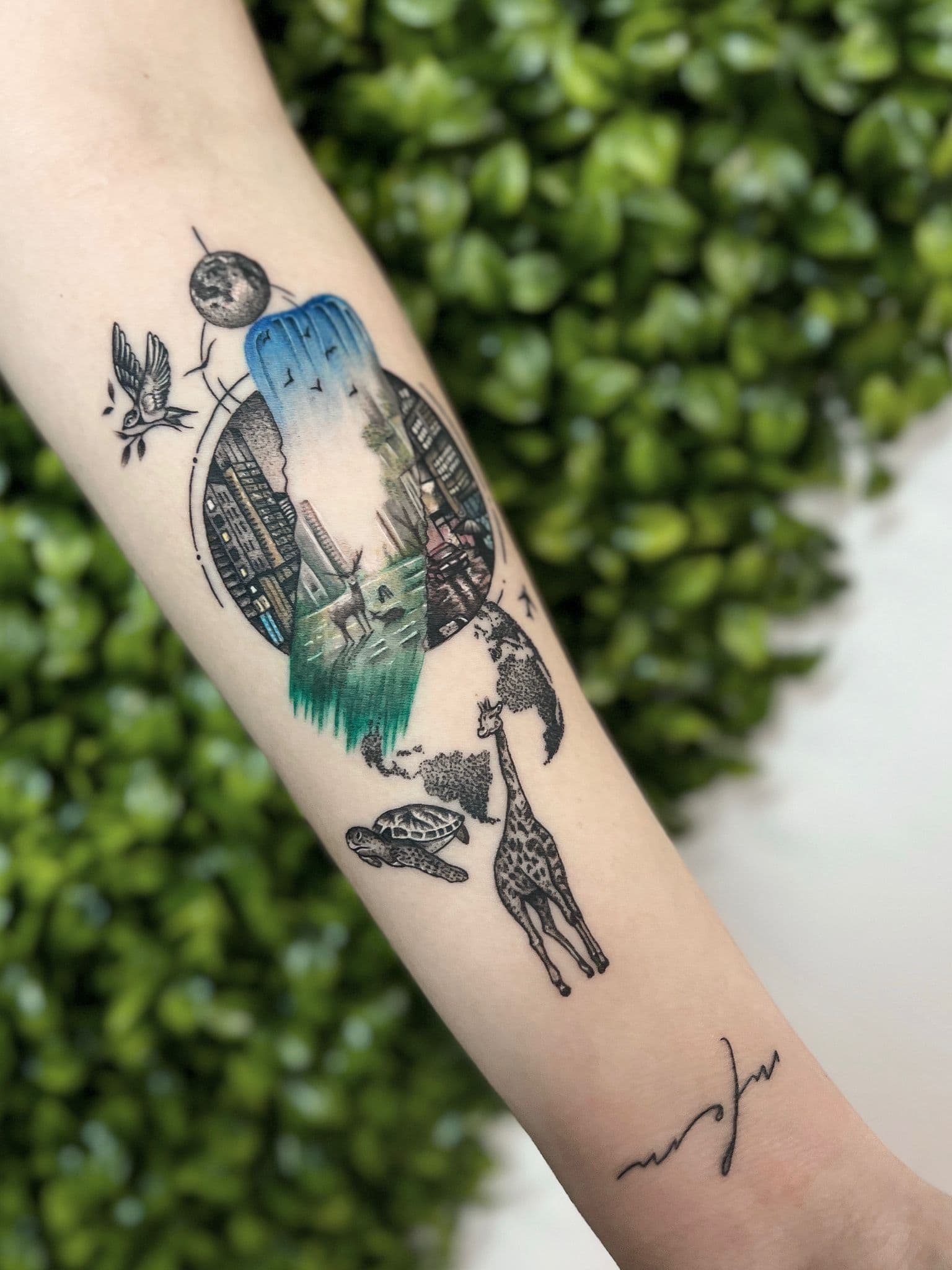 Background Preturi Tatuaje Color